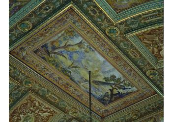 Soffitto a Palazzo Budini-Gattai Soffitto a Palazzo Budini-Gattai